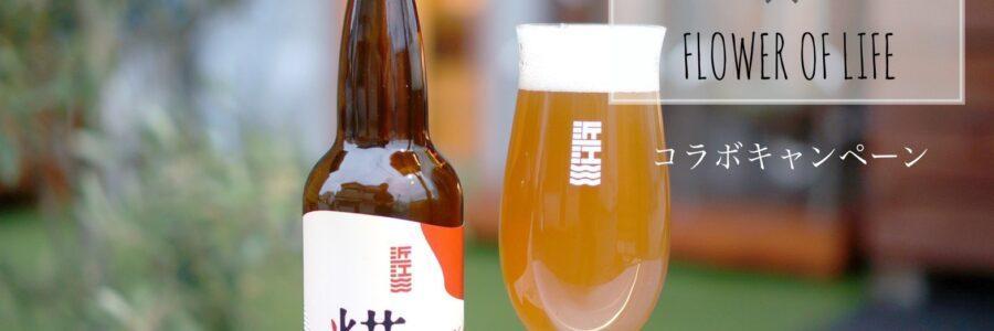 近江麦酒✖️フラオブ ポスター用キャッチコピー募集します!